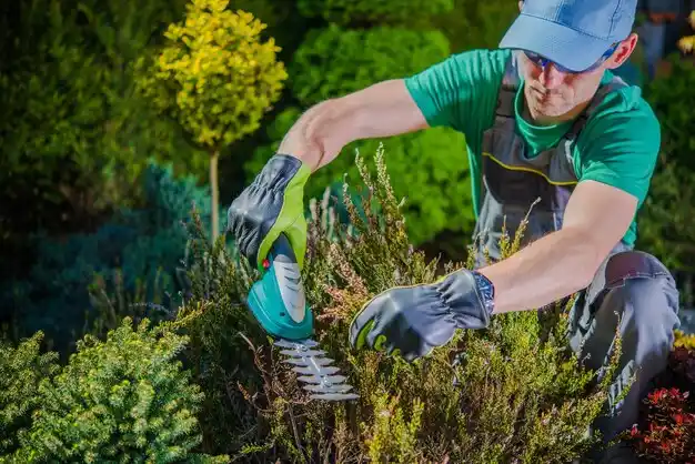 landscaping services Water Mill